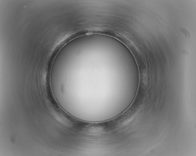 X0000115830491200911271202