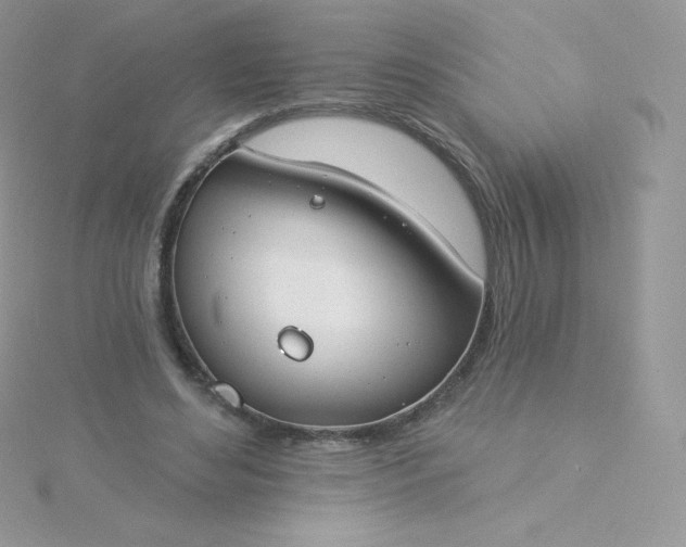 X0000115830492200911271202