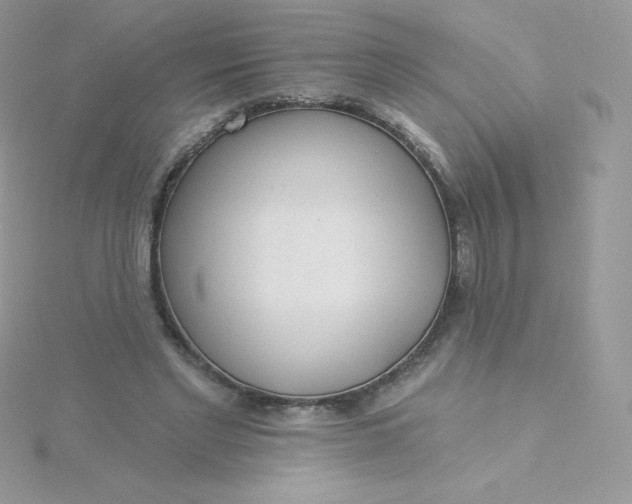 X0000115830493200911271202