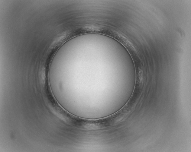 X0000115830494200911271202