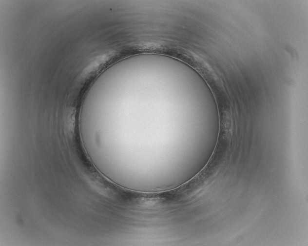 X0000115830495200911271202