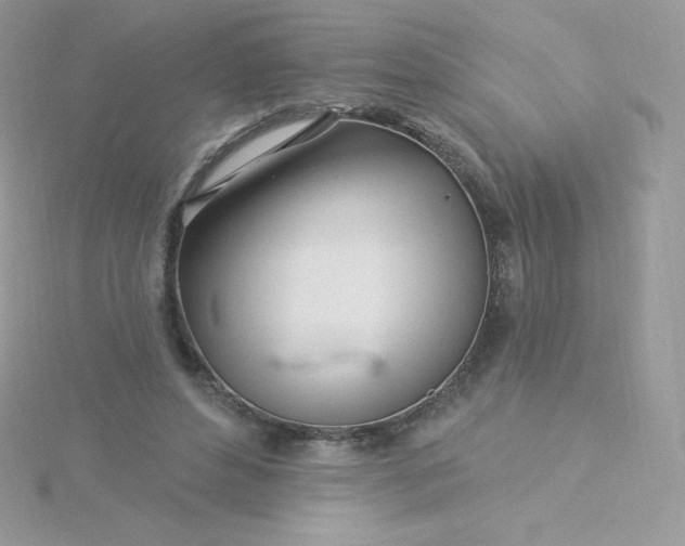 X0000115830496200911271202