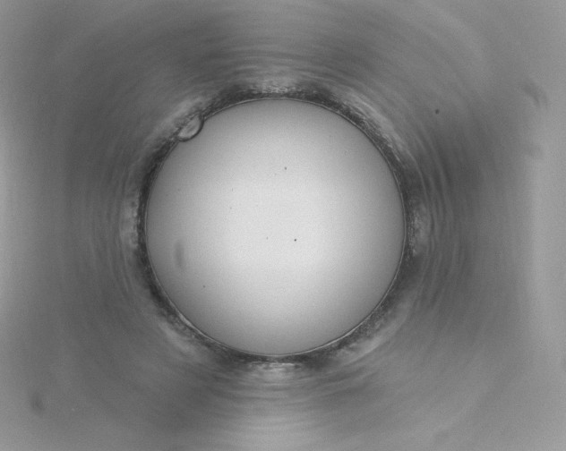 X0000115830497200911271202