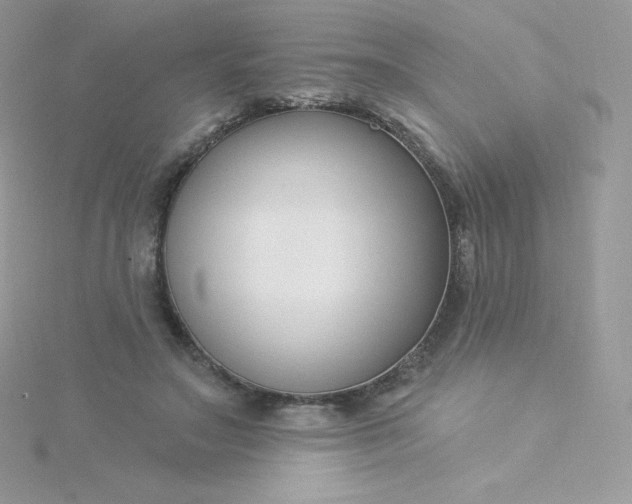 X0000115830499200911271202