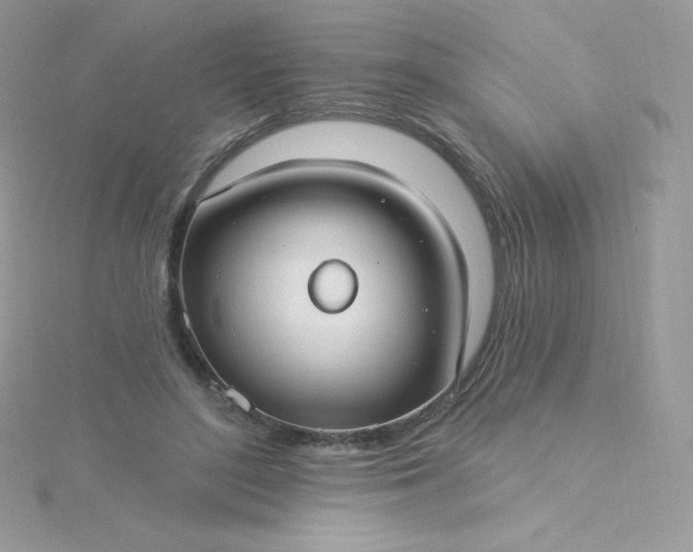 X0000115830500200911271202