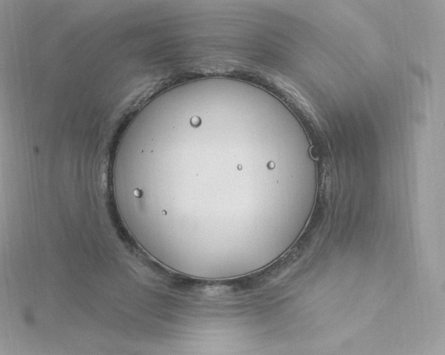 X0000115830501200911271202