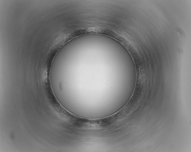 X0000115830502200911271202