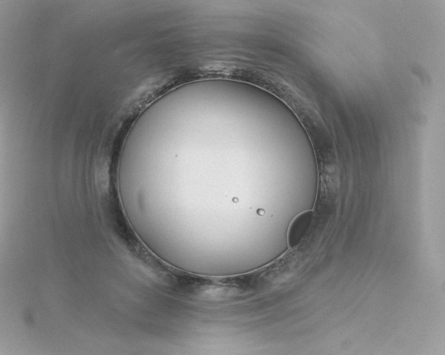 X0000115830504200911271202