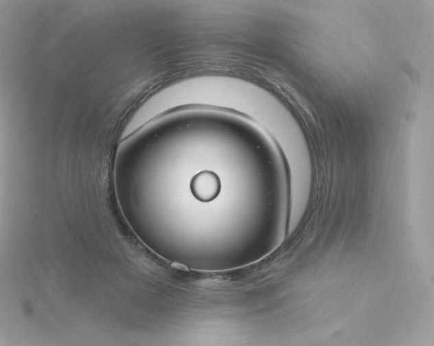 X0000115830505200911271202