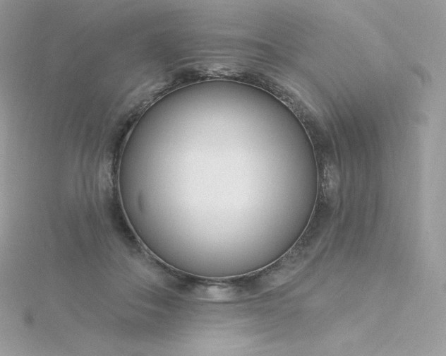 X0000115830506200911271202