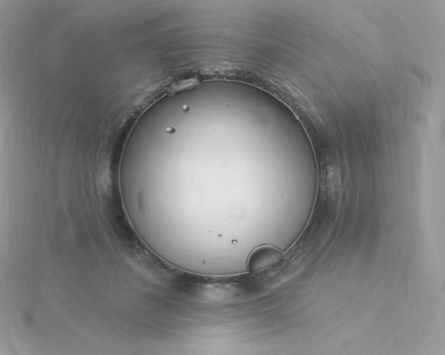 X0000115830508200911271202