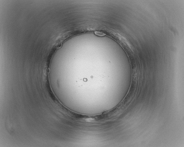 X0000115830509200911271202