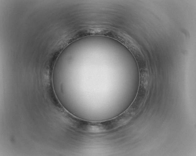 X0000115830510200911271202