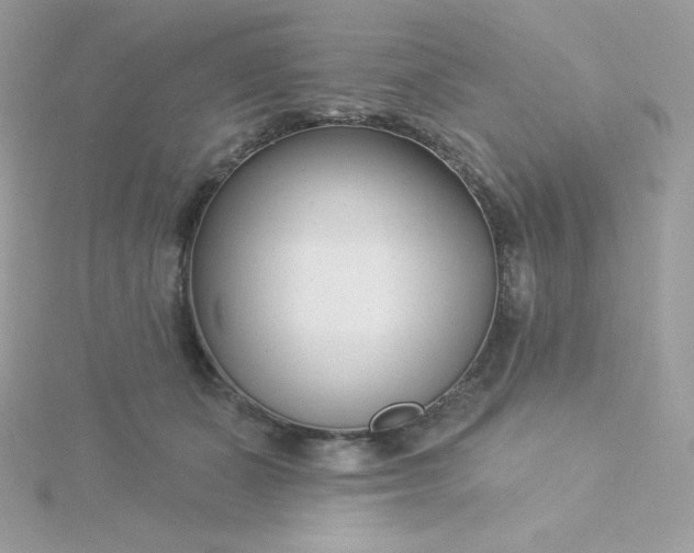 X0000115830511200911271202