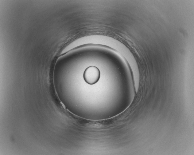 X0000115830512200911271202