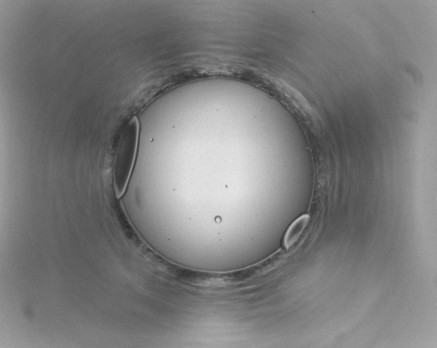 X0000115830513200911271202