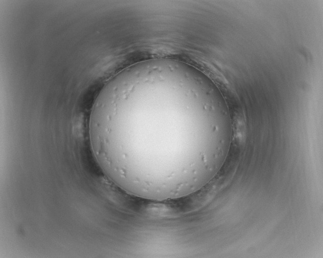 X0000115830519200911271202