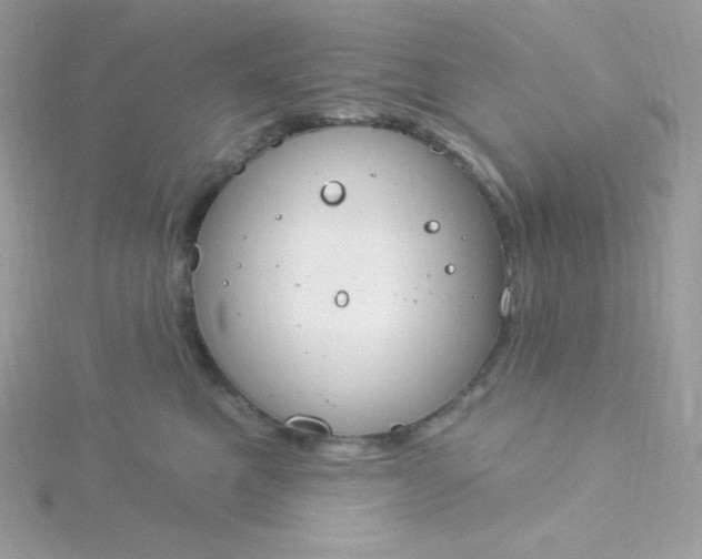 X0000115830521200911271202