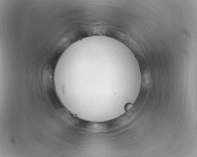 X0000115830522200911271202