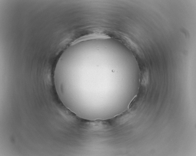 X0000115830524200911271202