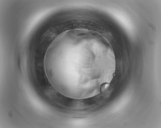 X0000115830526200911271202