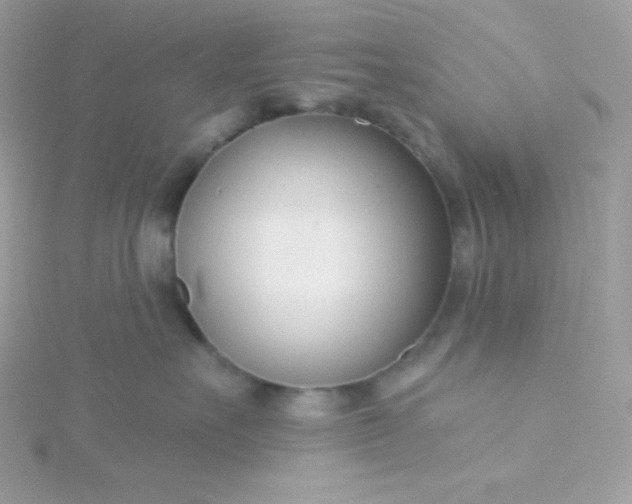 X0000115830527200911271202