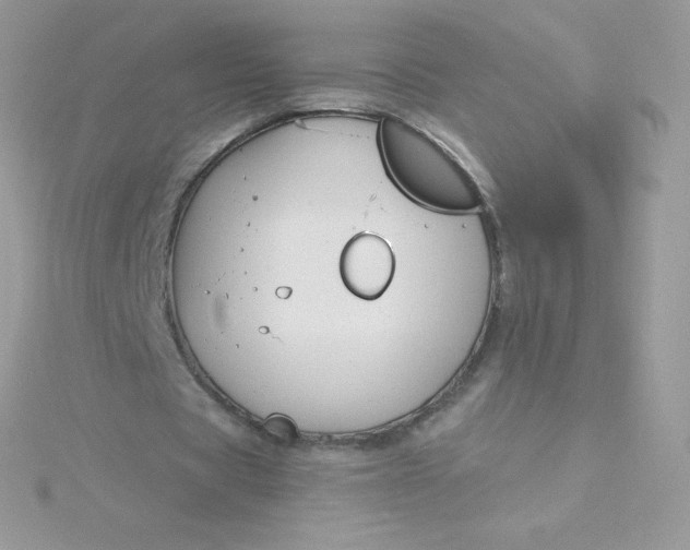 X0000115830529200911271201