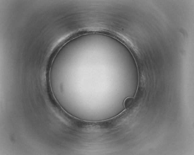 X0000115830535200911271201