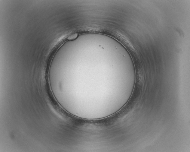 X0000115830538200911271201