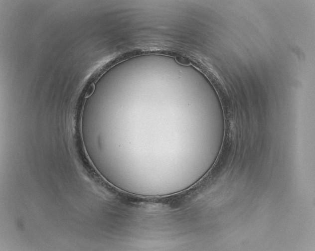 X0000115830539200911271201