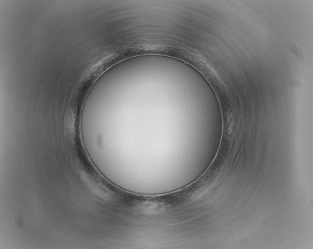 X0000115830542200911271201