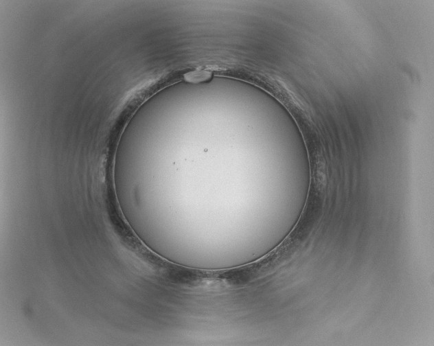 X0000115830543200911271201