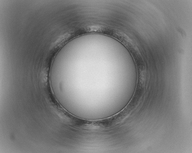 X0000115830545200911271201