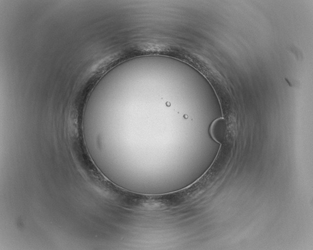 X0000115830547200911271201