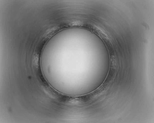 X0000115830550200911271201