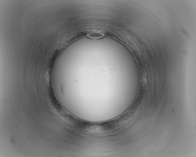 X0000115830551200911271201