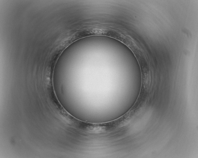 X0000115830553200911271201