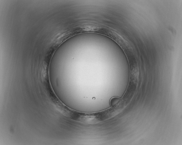 X0000115830554200911271201