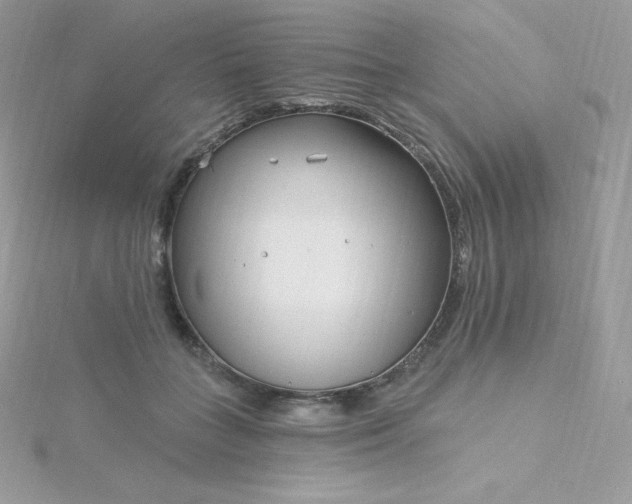 X0000115830555200911271201