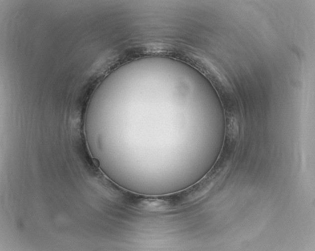 X0000115830557200911271201