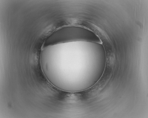 X0000115830558200911271201