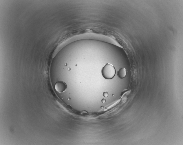 X0000115830561200911271201