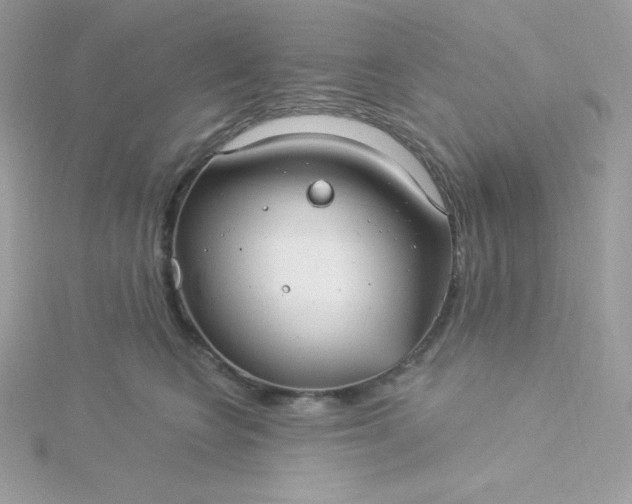 X0000115830566200911271201