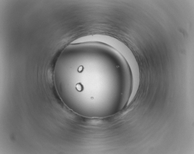 X0000115830575200911271202