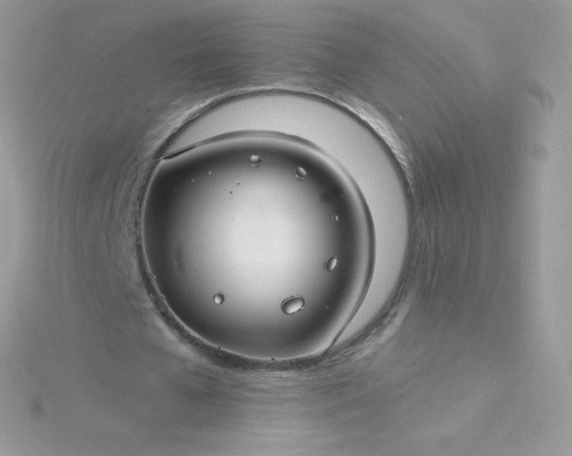 X0000115830577200911271201