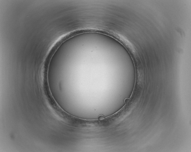 X0000115830580200911271201