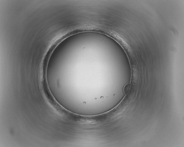 X0000115830582200911271201