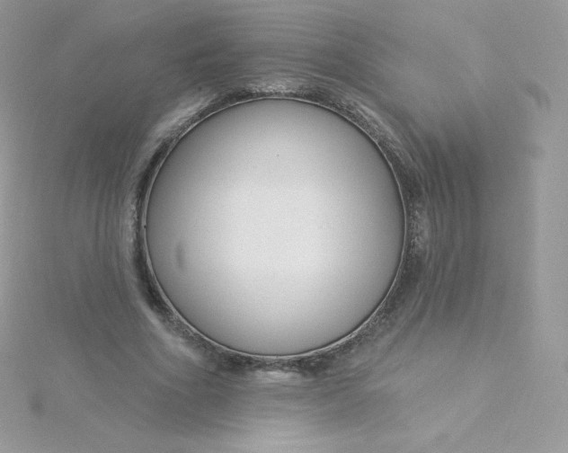 X0000115830586200911271201