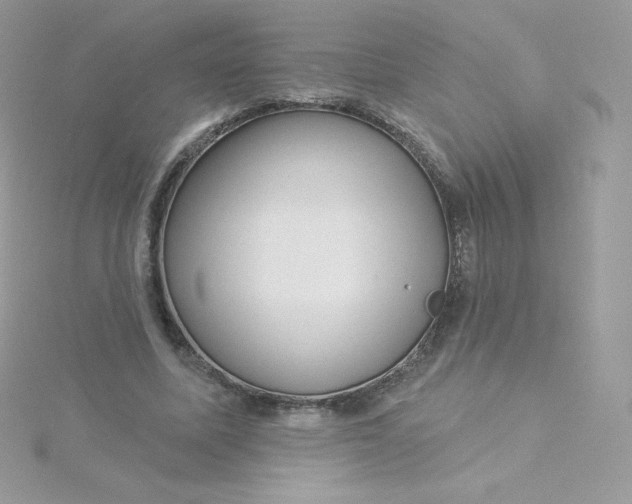 X0000115830587200911271201