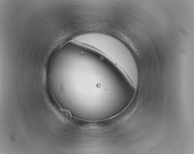 X0000115830589200911271201